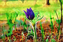 �����ͻ�����ͷ�̡�