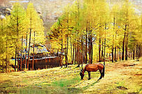 �����ͻ������֡�