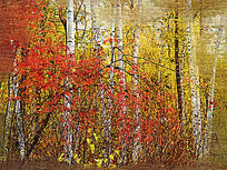 �����ͻ�������������