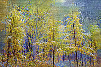 �����ͻ�������ѩ�ϡ�