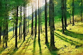 �����ͻ������֡�