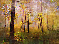 �����ͻ����������֡�