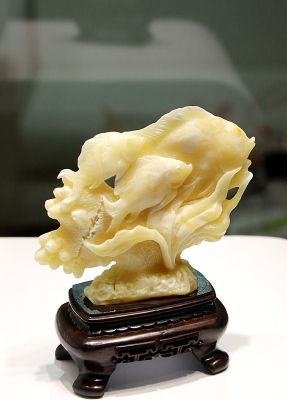 ������̺�����Ⱥ