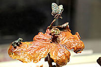 ����Ҷ����