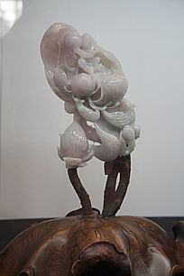 ���ʢ�����ٵ��