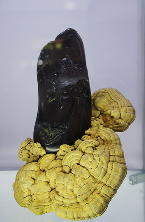 ��ʯ������