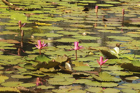 ������������