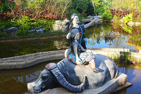 ţ���ϵĹ���