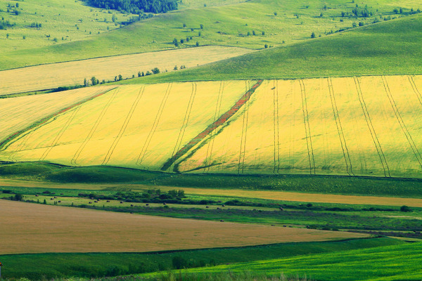 ��Ұ�＾����