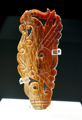 ͸��������