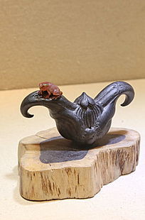 �����Ǻ�����