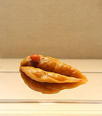 �����Ҷ�׳�ڼ�