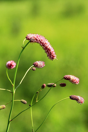 �ϻ�����