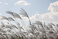 ����Ʈݶ������