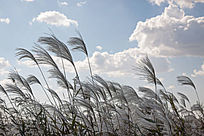 ������Ʈ����«ݶ��