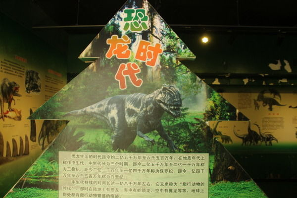 �����չ��Ʒ