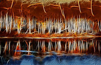 ���Ի����������֡�