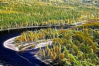 ���Ի���ɭ�ֺӡ�