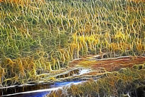 ���Ի���ɭ��֮�ӡ�