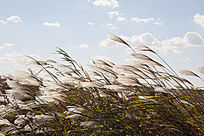 ݶ�����������