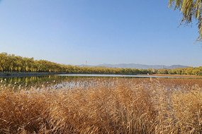 �����«έ��