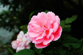 һ�使�޵��¼�