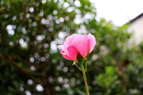 һ�����ŵ��¼�