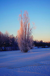 ���Ӷ���