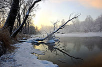 ����С��