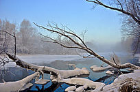 ����С��