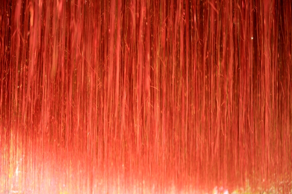 �����ٱ���