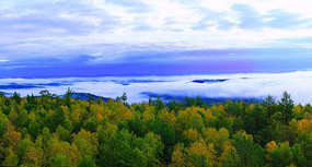 �ֺ�����