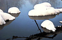 ����С�ӵ�Ӱ