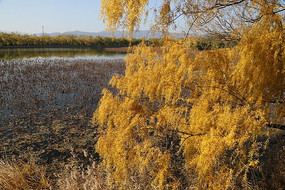 ���յ���������