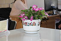 �����µ��з