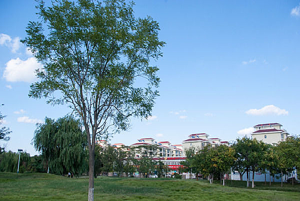 �������¥