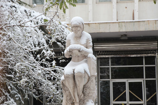 ѩ�ж��ߵ���