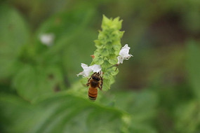 ������۷�