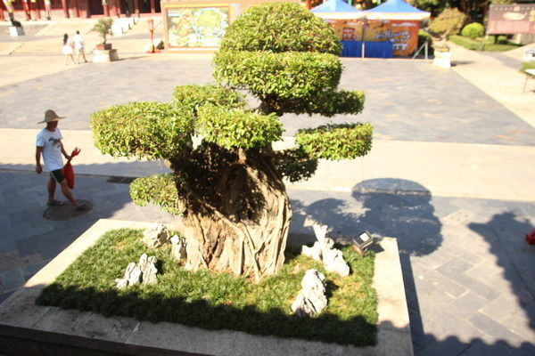 �����ֲ��