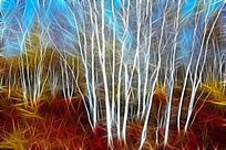 ���Ի���������֮�