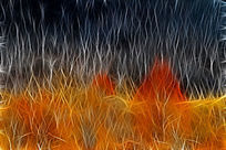 ���Ի�������ӭ����