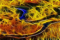 ���Ի���ɭ�ֺ����ϡ�