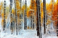 ���Ի���ɭ����ѩ��