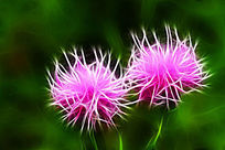 ���Ի���ɽ����