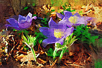 �����ͻ�����ͷ�̡�