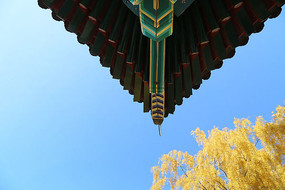 �Ž�������