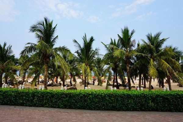 ���ߗ���