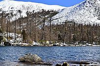 �����ĺ�