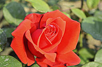 ʢ���ĺ��¼�