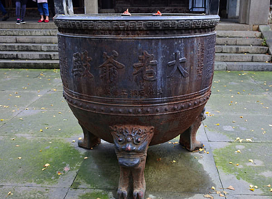 ��������¯